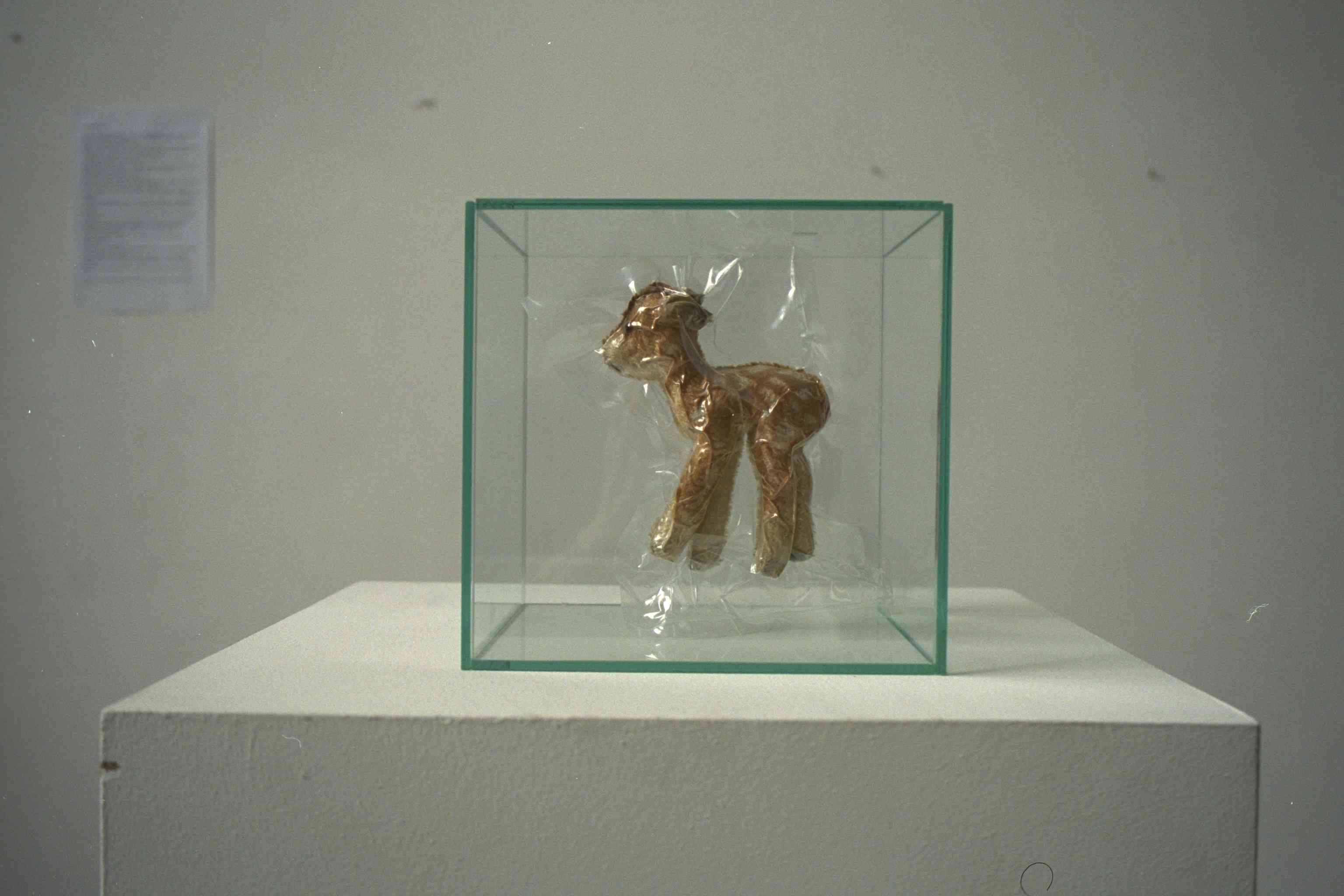reh, vakumisiert, akad.d.bild künste wien, 2001